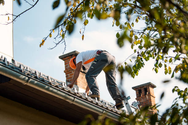 Steel Roofing in Powderly, TX